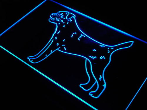Border Terrier Dog Pet Shop Gift Neon Light Sign